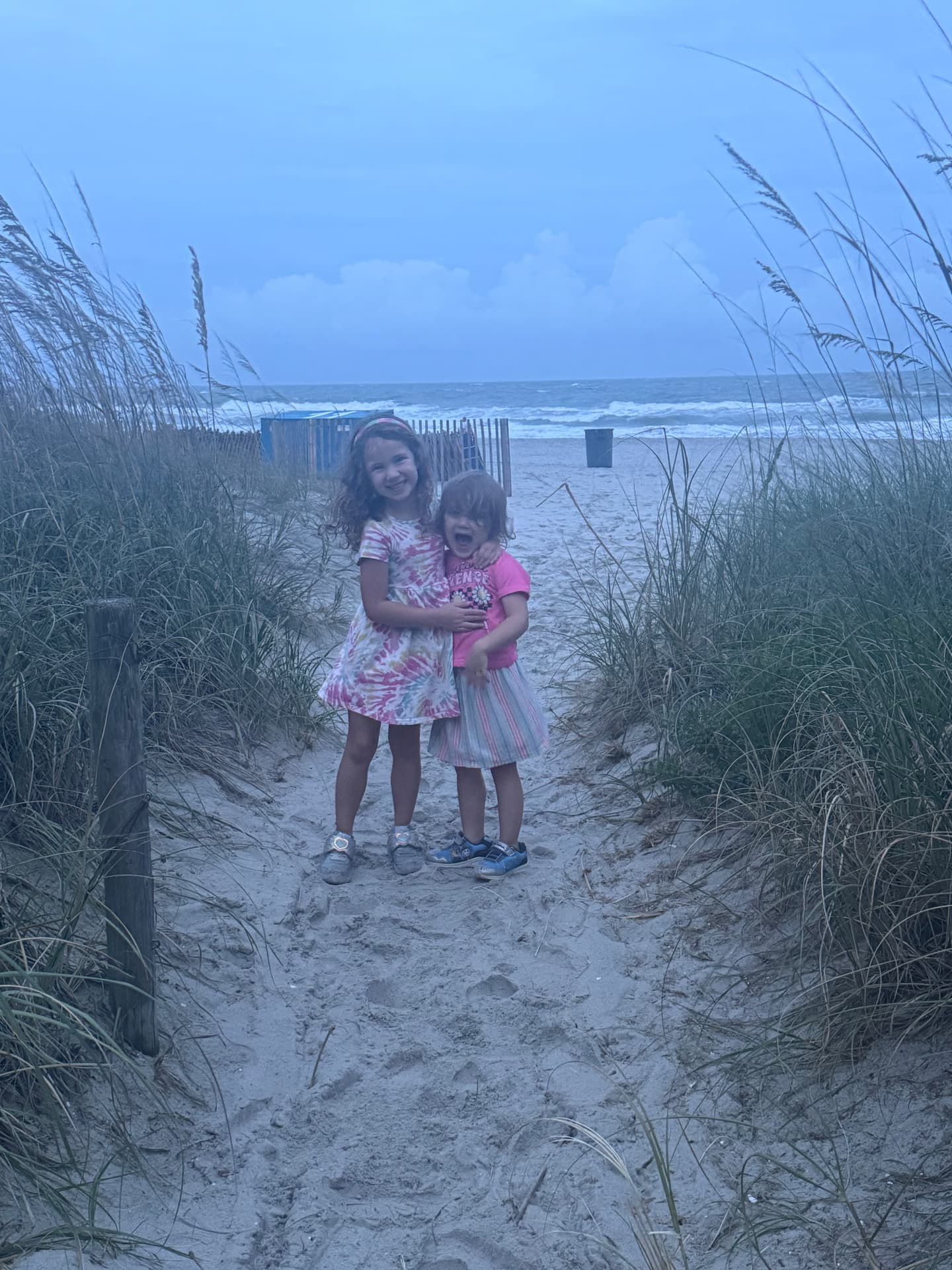 Travis Boles' two girls hugging on a beach path between dunes
